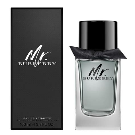 mr burberry 100 ml|burberry perfume for men's price.